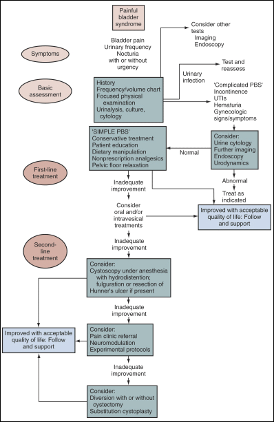 Suggested diagnosis and treatment algorithm for painful bladder syndrome
